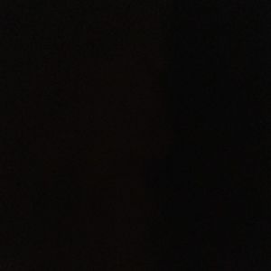 Meet your Posher, Nahanni